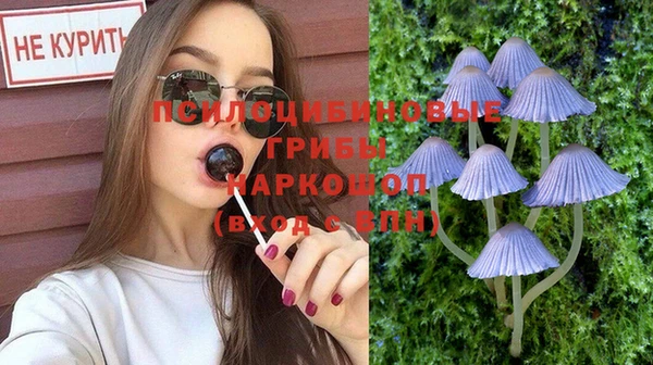прущая мука Ладушкин