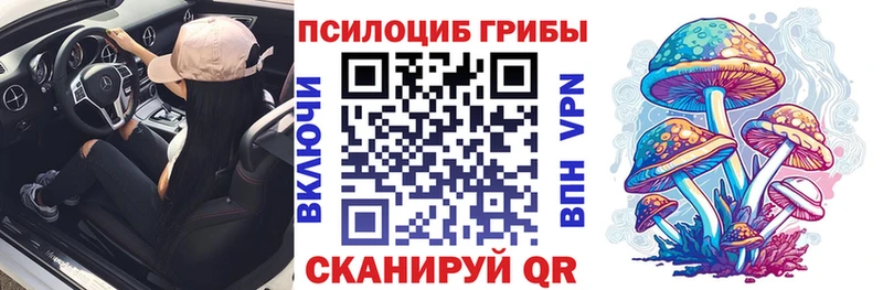 Галлюциногенные грибы Psilocybine cubensis  Осташков 